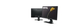 BenQ LED Monitor 23.8"W GW2480 Black14.6